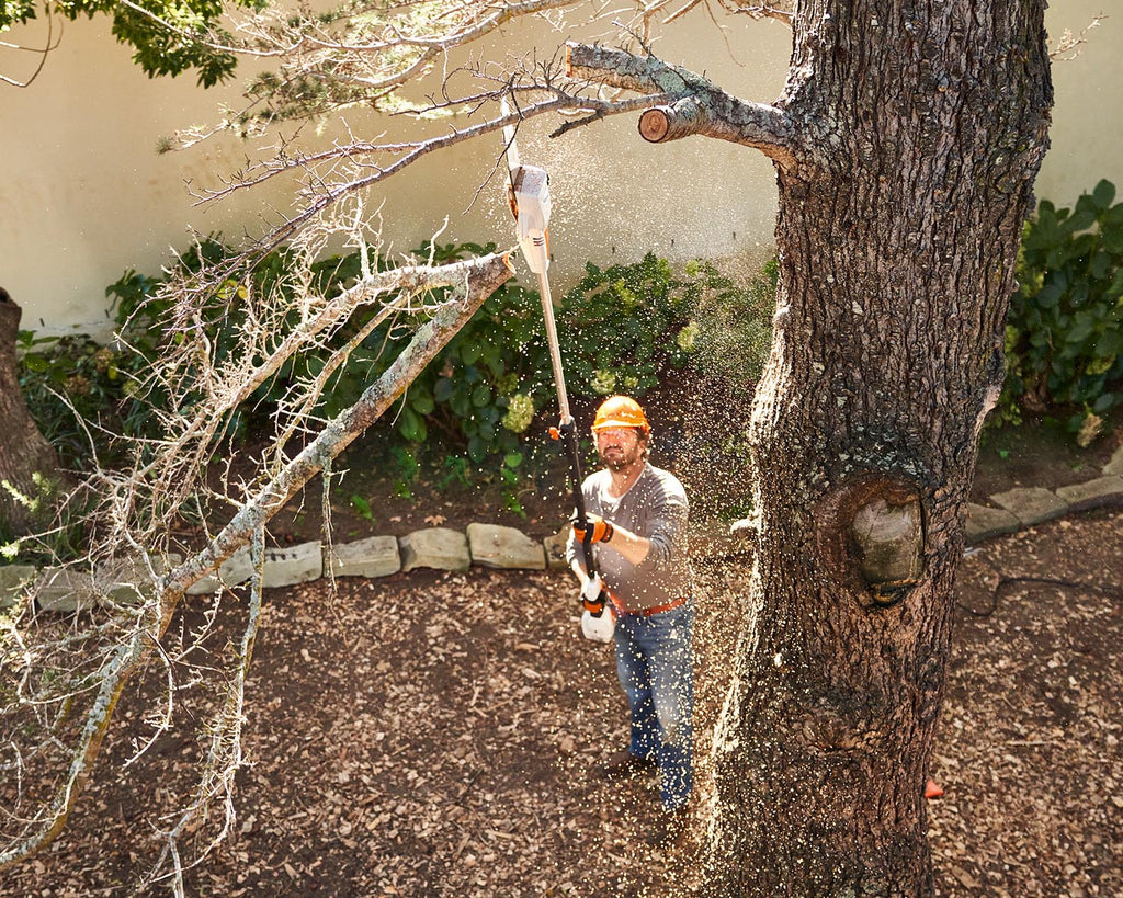 STIHL HTA50 Cordless Pole Pruner Kit